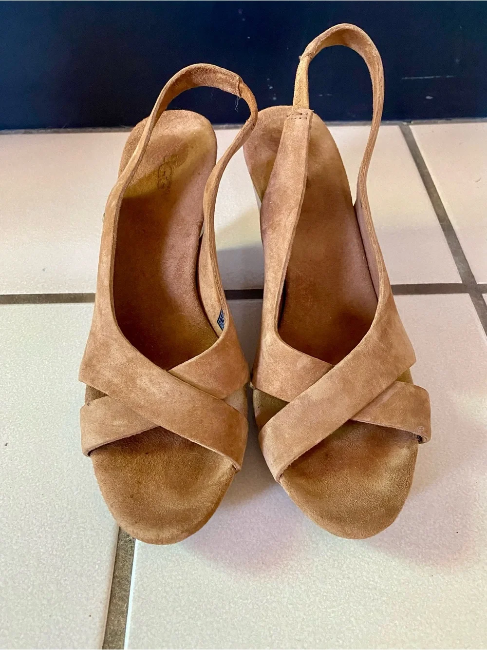 UGG Chestnut Suede Crisscross Slingback Wedge Sandals